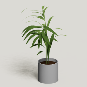 Plant 2