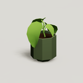 Plant 3