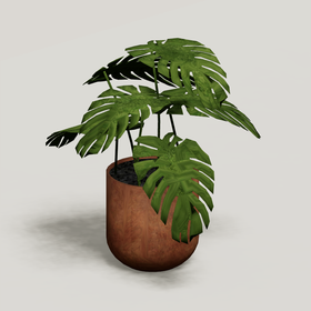 Plant 7