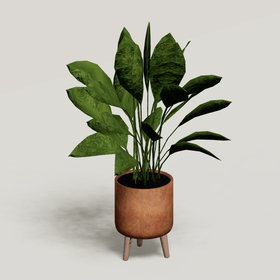 Plant 8