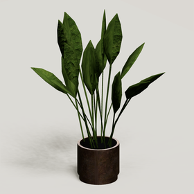 Plant 9