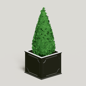 Topiary 2