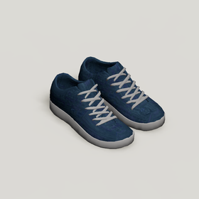 Trainers
