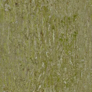 Bark 2