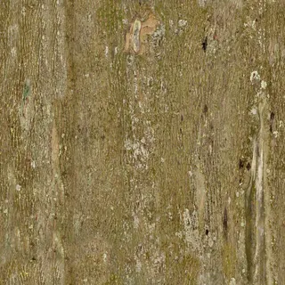 Bark 3