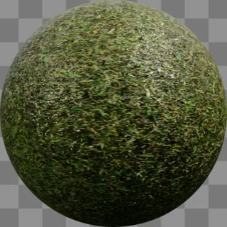 Grass 1