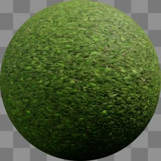 Grass 2