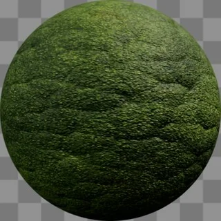 Moss