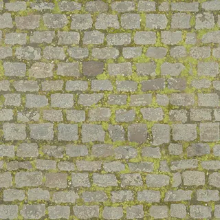 Paving 11